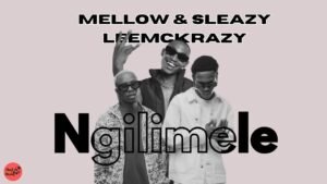 Ngilimele - Mellow & Sleazy, Leemckrazy@071records.com