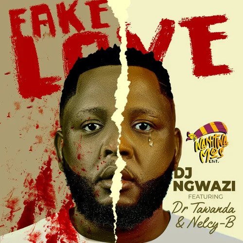 Fake Love - DJ Ngwazi FeatDr Tawanda Nelcy B@071records.com