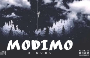 Modimo - Xigubu@071records.com