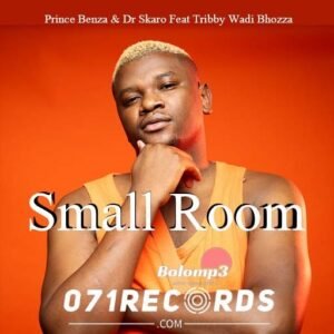 Small Room - Prince Benza & Dr Skaro Feat Tribby Wadi Bhozza@071records.com