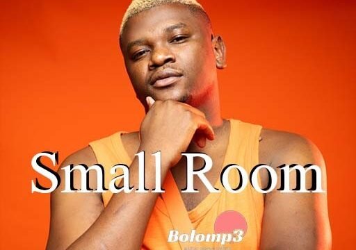 Small Room - Prince Benza & Dr Skaro Feat Tribby Wadi Bhozza@071records.com