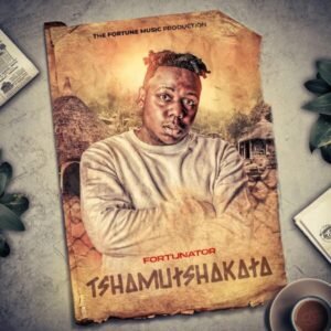 Tshamutshakata - Fortunator feat Dalom Kids@071records.com