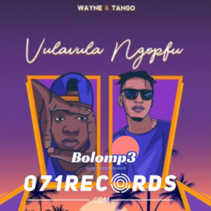 Vulavula Ngopfu - Wayne & Tango@071records.com