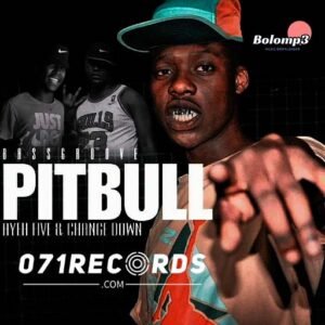 (Bassgroove) Pitbull II - Ahee Teekay feat Ayefive,Change Down & Dj sketch)@071records.com