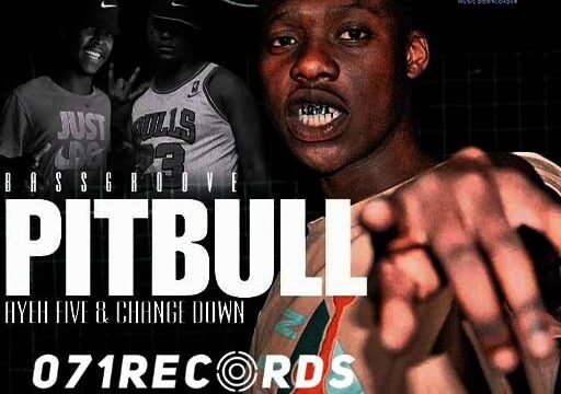 (Bassgroove) Pitbull II - Ahee Teekay feat Ayefive,Change Down & Dj sketch)@071records.com