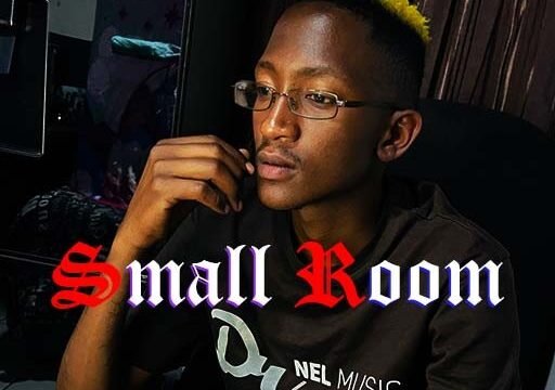 Dr Nel - Small Room@071records.com