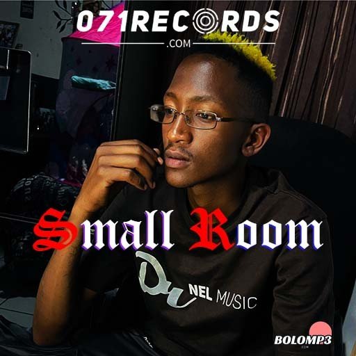 Dr Nel - Small Room@071records.com