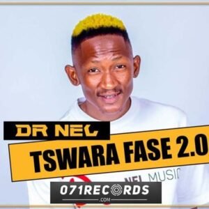 Tswara Fase 2.0 - Dr Nel@071records.com
