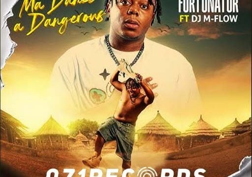 MA Dance A Dangerous - Fortunator feat Dj M Flow@071records.com