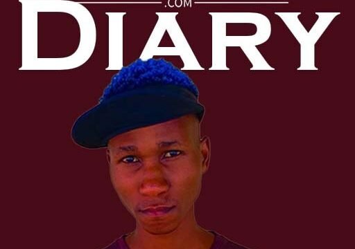 Diary - Nanza SA@071records.com
