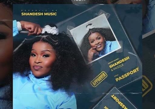 Passport - Shandesh & Mvzzle@071records.com