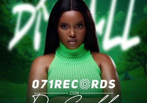 Di call - Snowflake SA feat Ba bethe Gashoazen, Krusher SA & Goon Flavour@071records.com