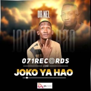 Joko Ya Hao - Dr Nel@071records.com