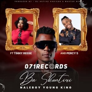 Ba Skontiri - Naleboy Young King ft Tinny Reebe,Percy 5,DJ Active Khoisan & Master Benza@071records.com