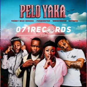 Pelo Yaka - Tribby Wadi Bhozza feat Poobington,Wendy Moon & Hitboss SA