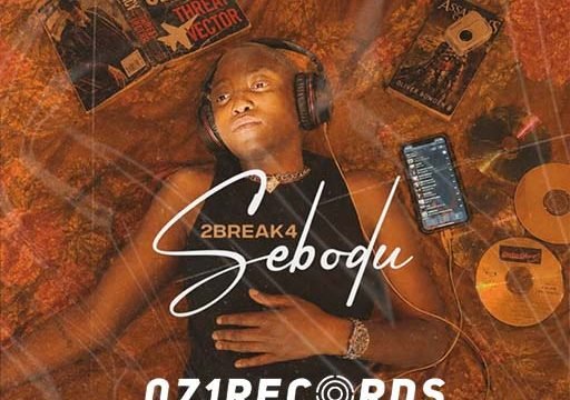 Sebodu - 2Break4 & King Salah